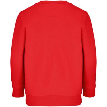 Свитшот детский Columbia Kids, красный, на рост 142-152