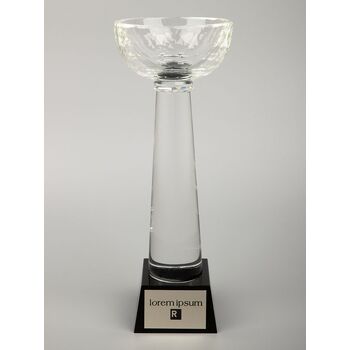 Кубок Cupture, большой