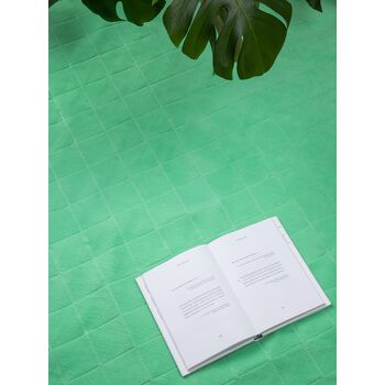 Плед для пикника Soft & Dry 2, светло-зеленый