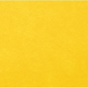 Заготовка из фетра Felt 50, желтая