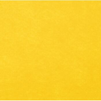 Заготовка из фетра Felt 600, желтая