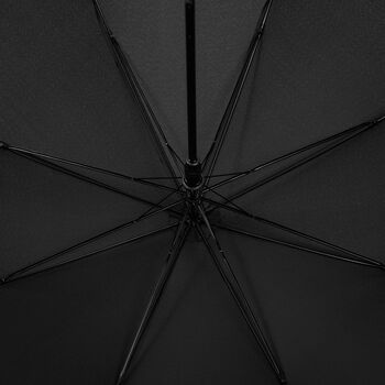 Зонт-трость Jolly Brolly, черный
