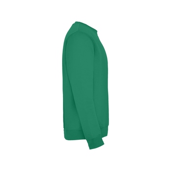 Свитшот с начесом "Clasica" унисекс, зеленый