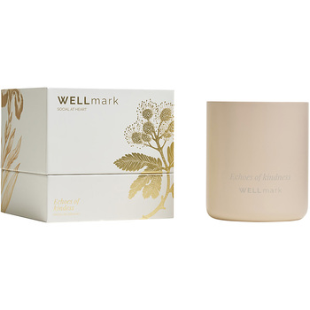 Ароматическая свеча Wellmark "Echoes of Kindness"- Ecru бежевый