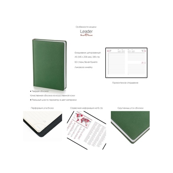 Ежедневник А5 датированный «Leader» 2027, коричневый