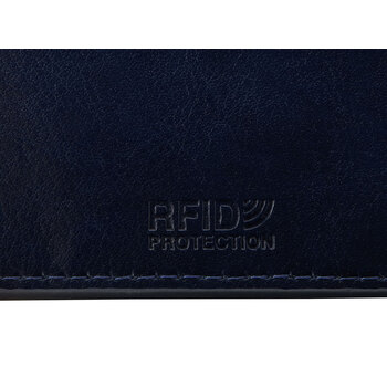Картхолдер для 6 пластиковых карт с RFID-защитой "Fabrizio", синий