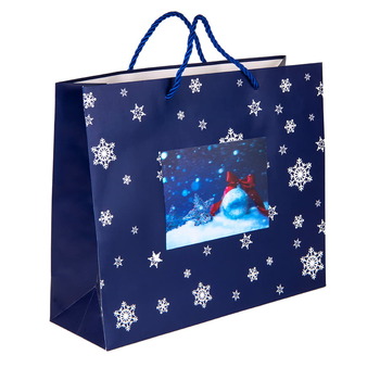 Пакет малый BLUE WONDER размер 32 x 27 x 11 см