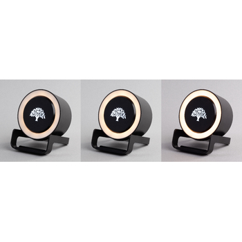 Bluetooth колонка-подставка "Smart Loud" с беспроводным (10W) зарядным устройством, лампой и подсветкой логотипа