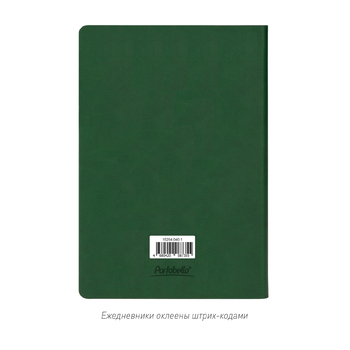 Ежедневник Латте (Latte NEW) недатированный, зеленый/лимонный (без упаковки, без стикера)
