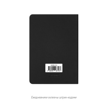 Ежедневник Спарк мини (Spark mini) A6 недатированный, черный