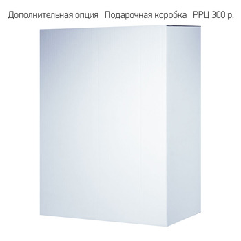 Бизнес рюкзак Таллер (Taller)  с USB разъемом, черный
