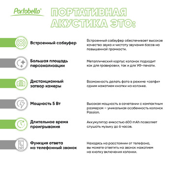 Беспроводная колонка Пэшн (Passion) 80dB 600 mAh (Bluetooth 5.4), черная