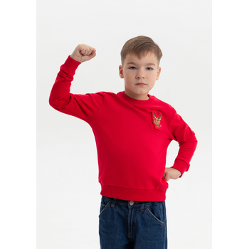 Свитшот детский STAN футер без начёса, 260, 63J, Красный,  (14)  (10/10 лет)