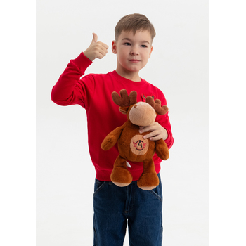 Свитшот детский STAN футер без начёса, 260, 63J, Красный,  (14)  (8 лет)