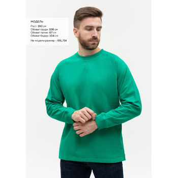 Свитшот унисекс STAN футер с начёсом 220, 60, Зелёный,  (30)  (54/XXL)