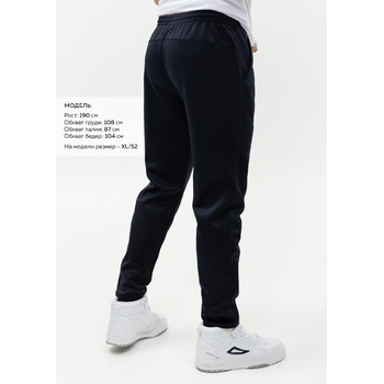 Брюки мужские STAN полиэстер, 260, 94, Тёмно-синий,  (46)  (52/XL)