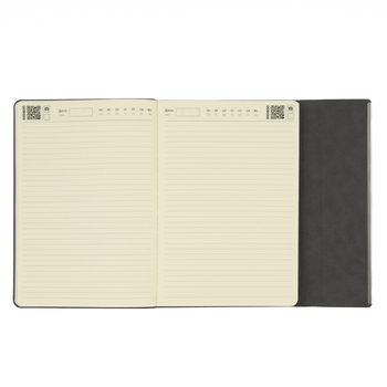 Ежедневник Bplanner.03 pro (серый)