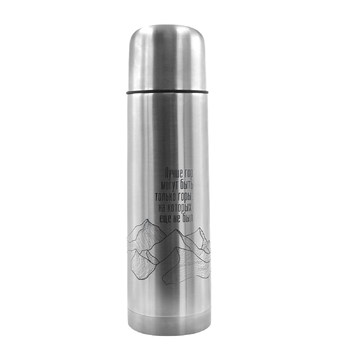 Термос Picnic Silver, серебристый