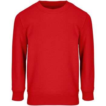 Свитшот детский Columbia Kids, красный, на рост 118-128