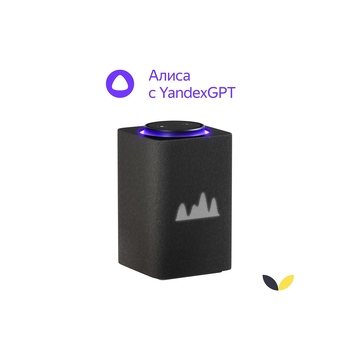 Умная колонка ЯНДЕКС Станция Макс с Алисой, с Zigbee, 65 Вт, цвет: графит (YNDX-00053K)