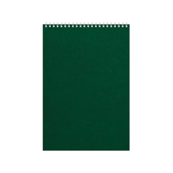 Бизнес - блокнот Альт А4 (198 х 285 мм) "Office" 60 л., зеленый