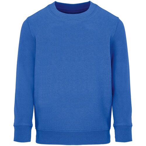 Свитшот детский Columbia Kids, ярко-синий (royal), на рост118-128