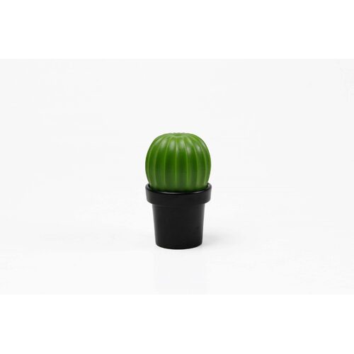 МЕЛЬНИЦА ДЛЯ СПЕЦИЙ Tasty Cactus