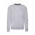 Свитшот без начеса LIGHTWEIGHT SET-IN SWEAT 240